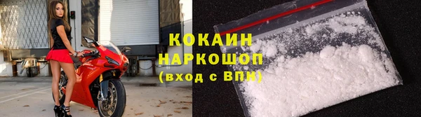 шишки Заволжск