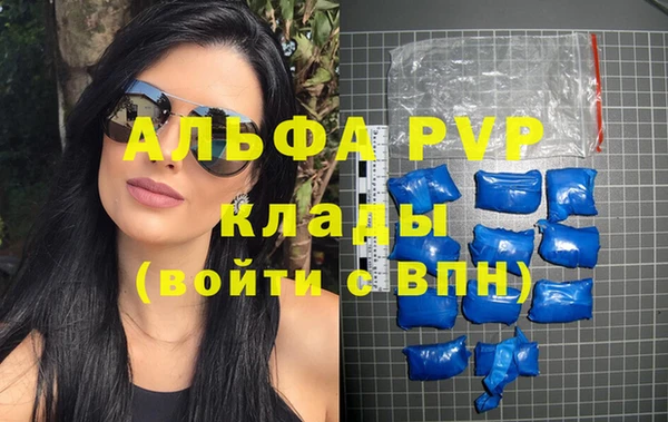 шишки Заволжск