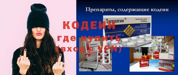 шишки Заволжск