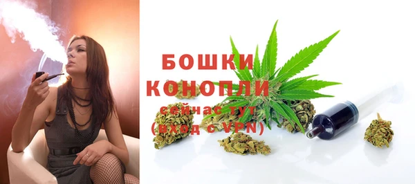 шишки Заволжск