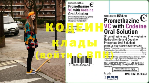 шишки Заволжск