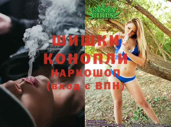 твердый Заводоуковск