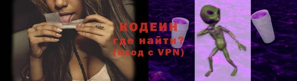 шишки Заволжск