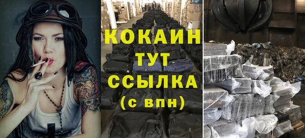 твердый Заводоуковск