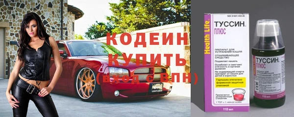 твердый Заводоуковск
