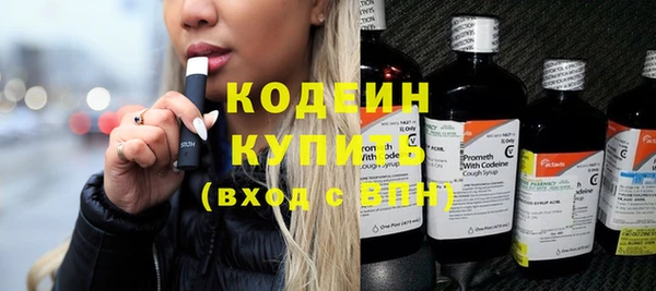 твердый Заводоуковск