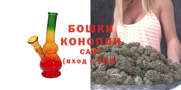 твердый Заводоуковск